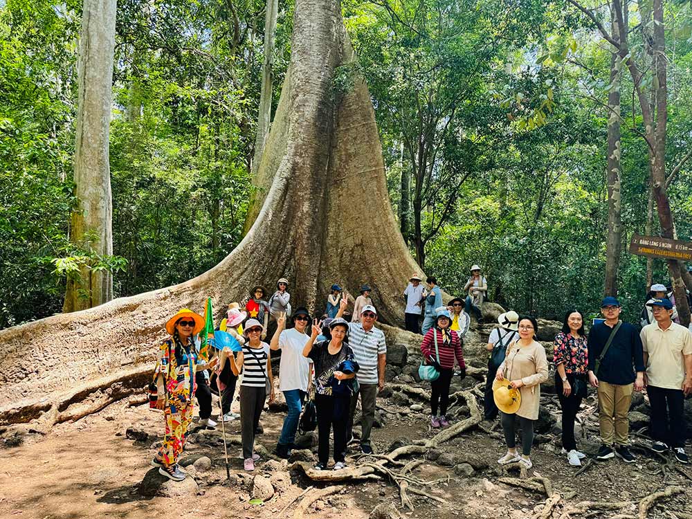 Tour Nam Cát Tiên - Taxi Nam Cát Tiên Vườn Quốc Gia đưa đón du khách vườn quốc gia